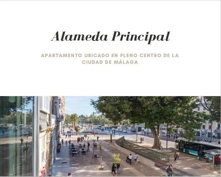 Alameda Principal Larios Centro Wifi Apartment Malaga Spain